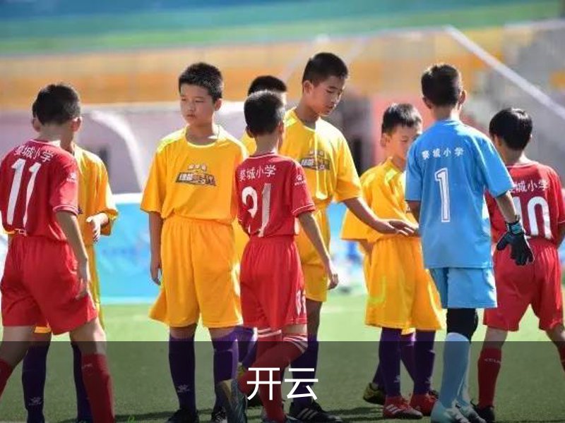 关于开云